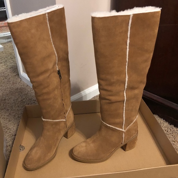 kasen tall ugg